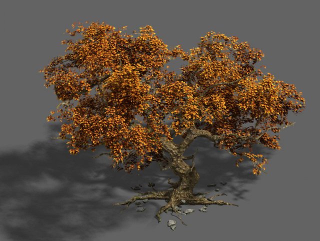 plant - mangrove 1 3D Модель .c4d .max .obj .3ds .fbx .stl .blend 