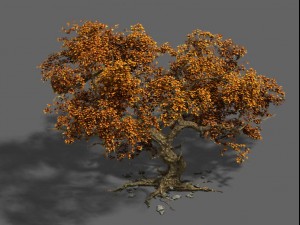 plant - mangrove 1 3D Модель