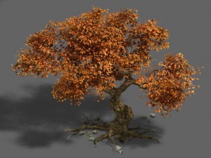 plant - mangrove 1 3D Модель