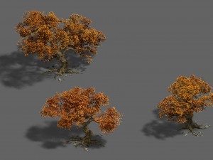 plant - mangrove 1 3D Модель