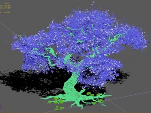 plant - mangrove 1 3D Модель