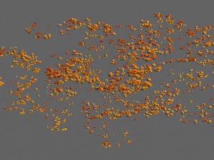 plant - mangrove 1 3D Модель