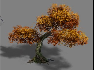 plant - red tree 02 3D Модель