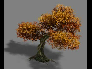 plant - red tree 02 3D Model