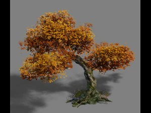 plant - red tree 02 3D Model