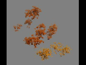 plant - red tree 02 3D Model