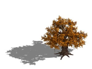 растение &ndash; желтое дерево 3D Модель