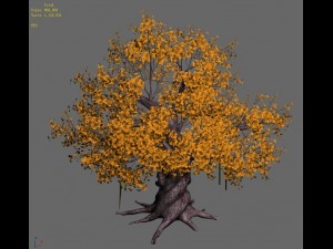 plant - yellow tree Modèle 3D