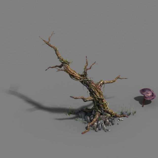 plant - dead tree Modèle 3D .c4d .max .obj .3ds .fbx .stl .blend