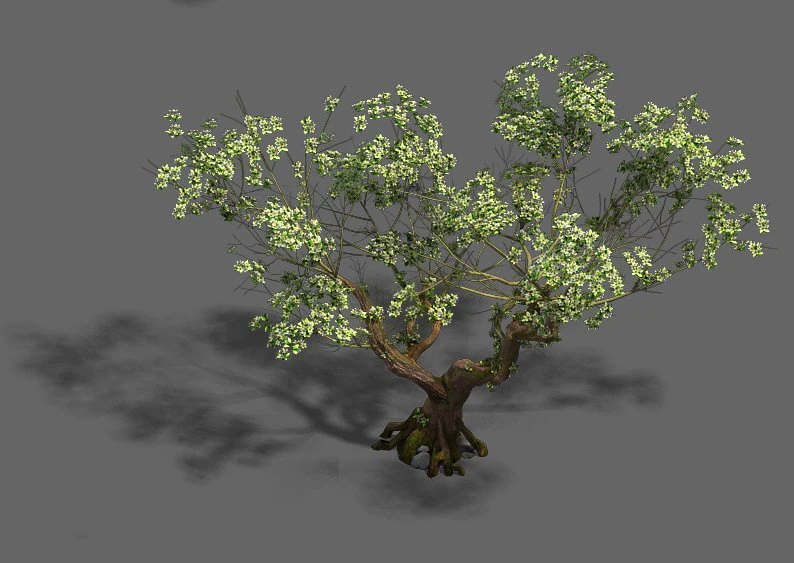 plant - pear tree 3D Model .c4d .max .obj .3ds .fbx .stl .blend