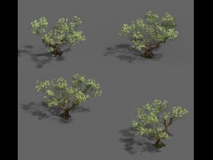 plant - pear tree Modello 3D