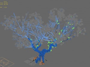 plant - pear tree Modello 3D