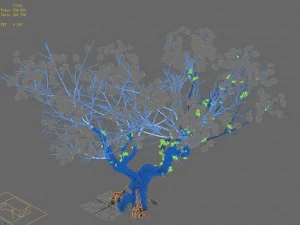 plant - pear tree 3D Model