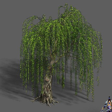 plant - willow 12 3D Модель .c4d .max .obj .3ds .fbx .stl .blend 