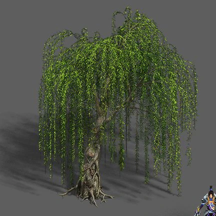 plant - willow 12 3D Model .c4d .max .obj .3ds .fbx .stl .blend 