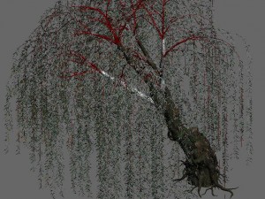 plant - willow 12 3D Модель