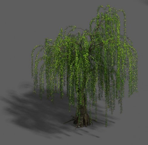 plant - willow 13 3Dモデル .c4d .max .obj .3ds .fbx .stl .blend 