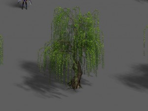 plant - willow 13 3Dモデル