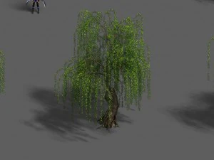 plant - willow 13 3D Model