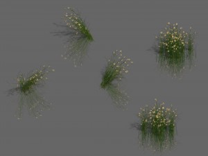 plant - aloe Modello 3D