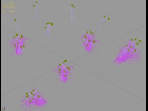 plant - aloe Modello 3D