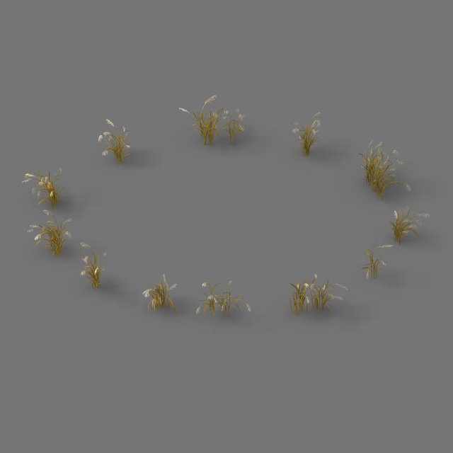 plant - reed 01 Modelo 3D .c4d .max .obj .3ds .fbx .stl .blend 