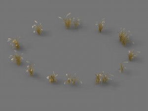 plant - reed 01 3D Модель