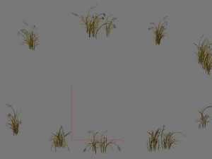 plant - reed 01 Modelo 3D
