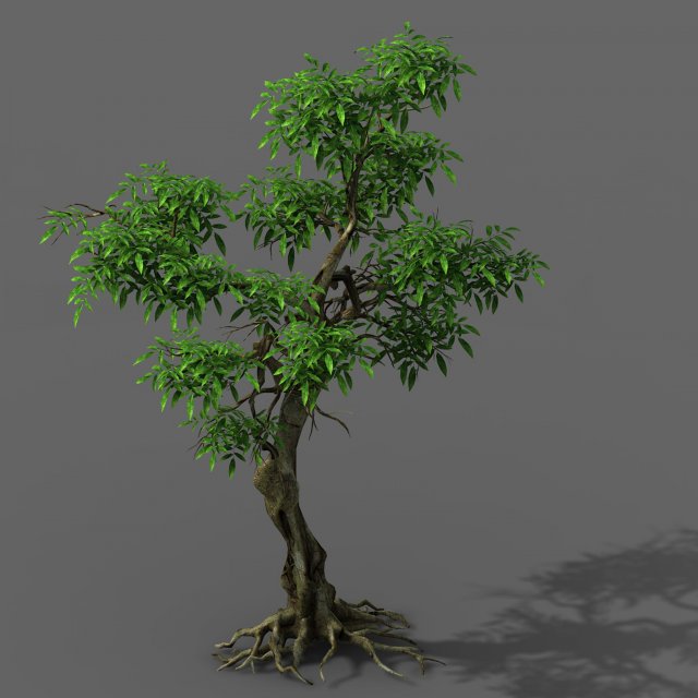 plant - green tree 1 3D Модель .c4d .max .obj .3ds .fbx .stl .blend 