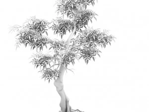 plant - green tree 1 3D Model