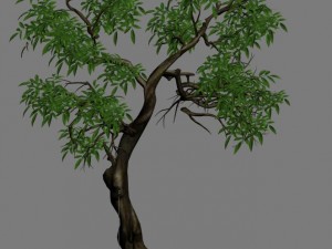 plant - green tree 1 3D Модель