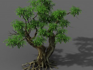 plant - green tree 3 3D Model