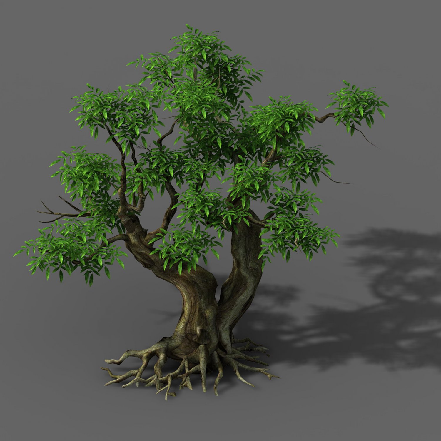 Дерево 3 17. Дерево 3д. Дерево 3д модель. 3d модель дерева. Бамбуковое дерево 3д модель.