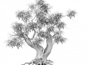 plant - green tree 3 3D Model