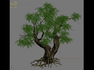 plant - green tree 3 3D Model