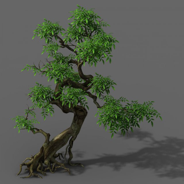 plant - green tree 4 3D Model .c4d .max .obj .3ds .fbx .stl .blend 