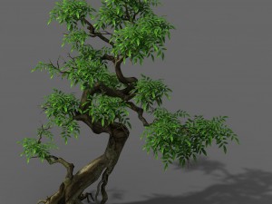 plant - green tree 4 3D Модель