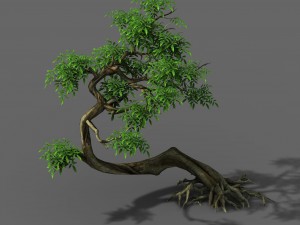 plant - green tree 4 3D Model