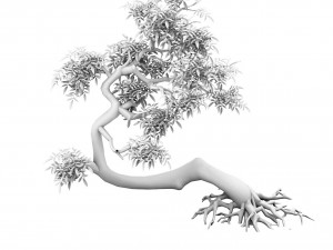 plant - green tree 4 3D Model
