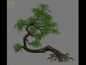 plant - green tree 4 3D Model