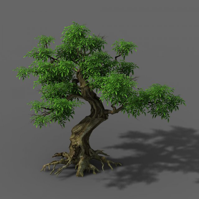 plant - green tree 5 Model 3D .c4d .max .obj .3ds .fbx .stl .blend 