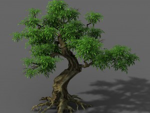 plant - green tree 5 3D Модель