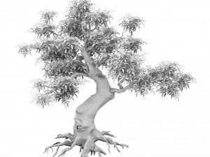 plant - green tree 5 Model 3D
