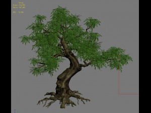 plant - green tree 5 Model 3D