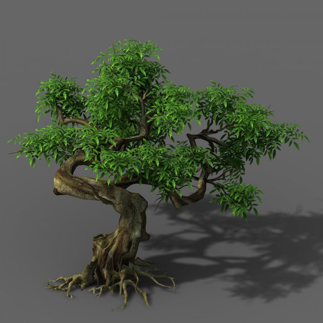 plant - green tree 7 Modèle 3D .c4d .max .obj .3ds .fbx .stl .blend 