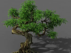 植物 - 绿树 7 3D 模型