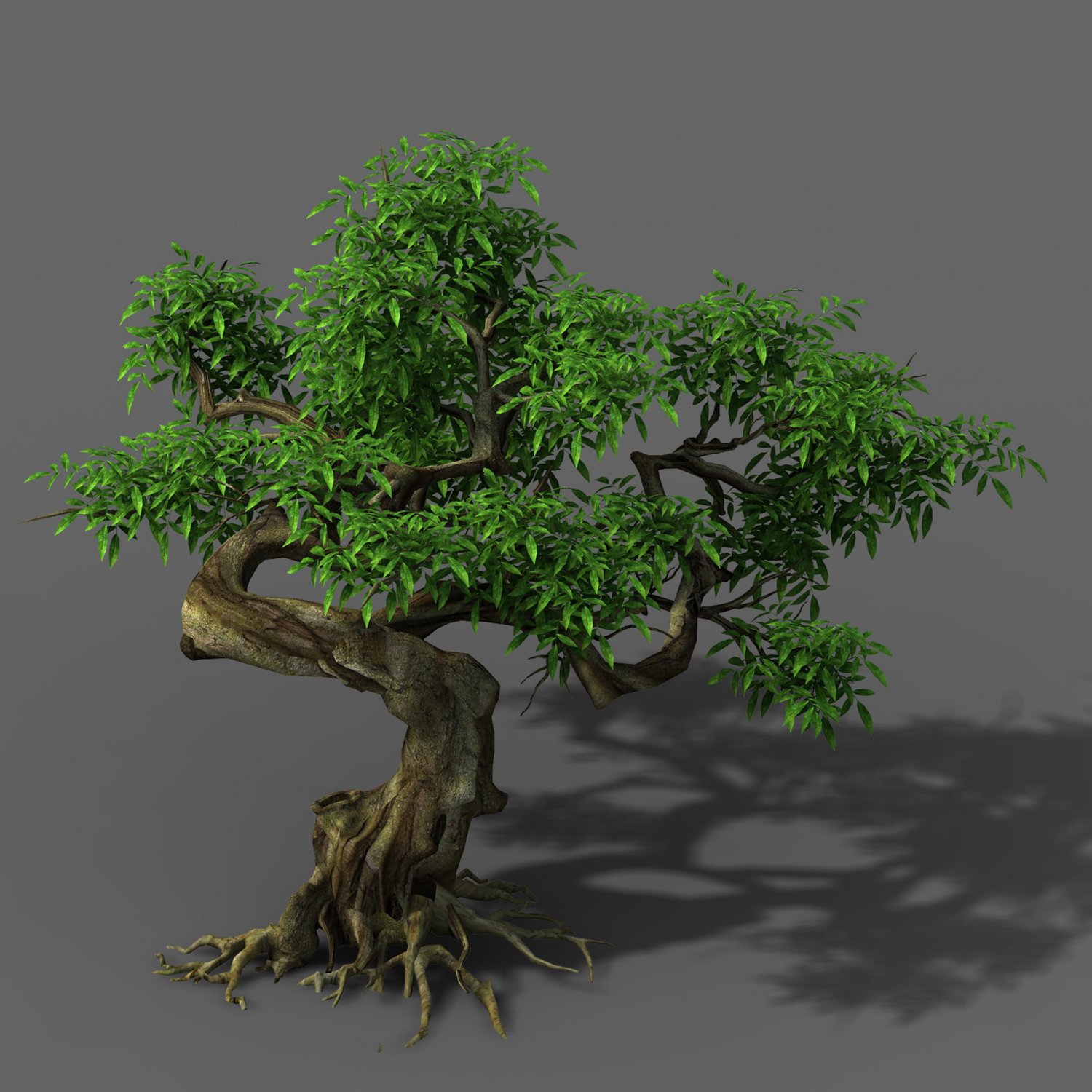Деревья 7 м. 3д модели растений. 7 Деревьев. Китайский растения 3d model.