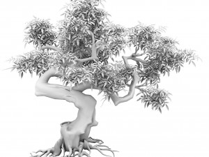 plant - green tree 7 Modèle 3D