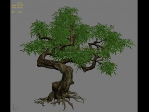 plant - green tree 7 Modèle 3D