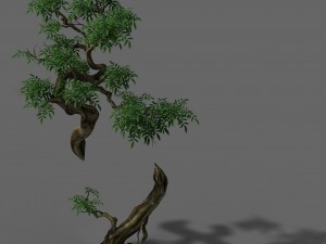 plant - green tree 7 Modèle 3D